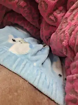 Snapshot of zzangzoa chatting on January 17, 2026, 1:15 pm zzangzoa online show from January 17, 2026, 1:15 pm