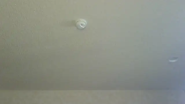 Snapshot of Flossee chatting on April 11, 2026, 12:18 am Flossee online show from April 11, 2026, 12:18 am