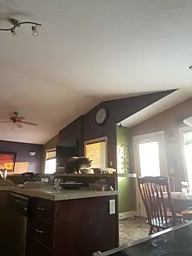 starsaligned online show from January 6, 2026, 10:47 pm