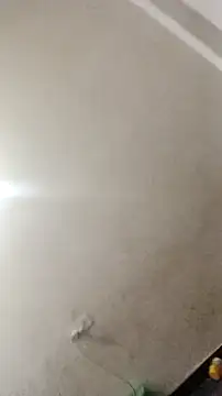 Guriya0076 online show from November 23, 2025, 11:09 am