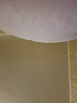 Snapshot of gazb90 chatting on February 8, 2026, 5:10 pm gazb90 online show from February 8, 2026, 5:10 pm