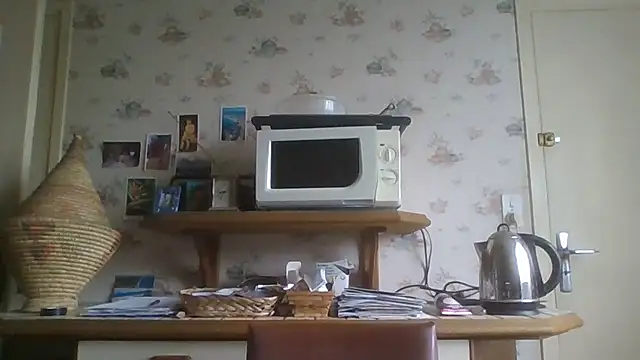 gegevincent online show from May 30, 2026, 8:42 am