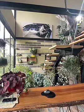 Rose-andres online show from November 29, 2025, 8:42 pm