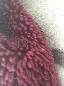 Snapshot of yaraa49 chatting on December 16, 2025, 5:55 am yaraa49 online show from December 16, 2025, 5:55 am