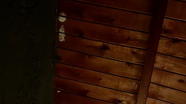 Taurito    online show from November 28, 2025, 9:37 pm