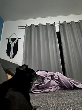 mikeara90 online show from October 22, 2025, 10:30 pm