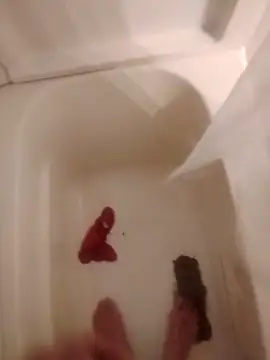 Snapshot of helldonk chatting on February 5, 2026, 2:40 am helldonk online show from February 5, 2026, 2:40 am