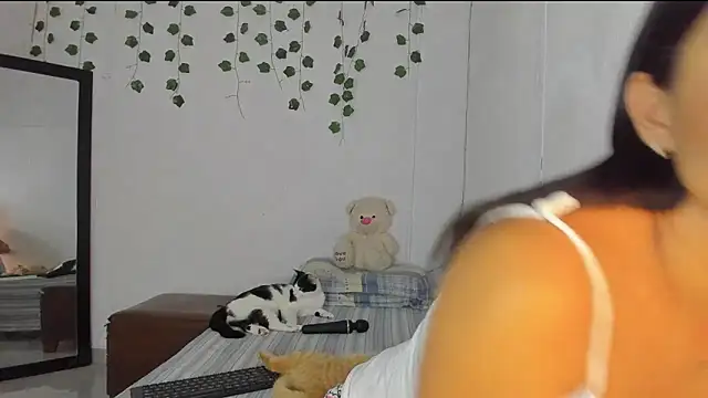 PureFire20 online show from November 19, 2025, 9:20 am