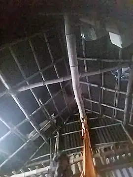 Tamilauntyhot online show from November 19, 2025, 4:23 am