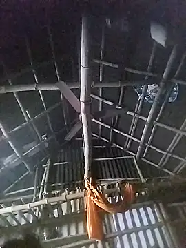 Tamilauntyhot online show from November 18, 2025, 2:53 pm