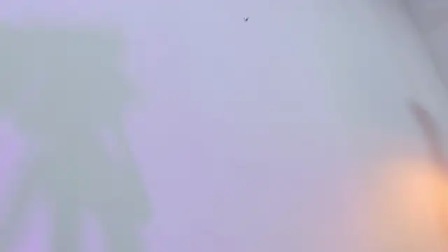 Snapshot of eimy_skinny_ chatting on February 12, 2026, 12:49 pm eimy skinny online show from February 12, 2026, 12:49 pm