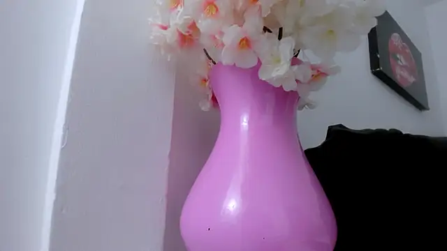 Snapshot of eimy_skinny_ chatting on January 18, 2026, 1:03 pm eimy skinny online show from January 18, 2026, 1:03 pm