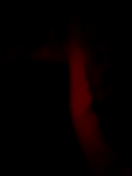 Raza7524 online show from November 15, 2025, 4:55 pm