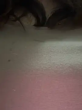 Dior 521 online show from October 25, 2025, 12:28 pm