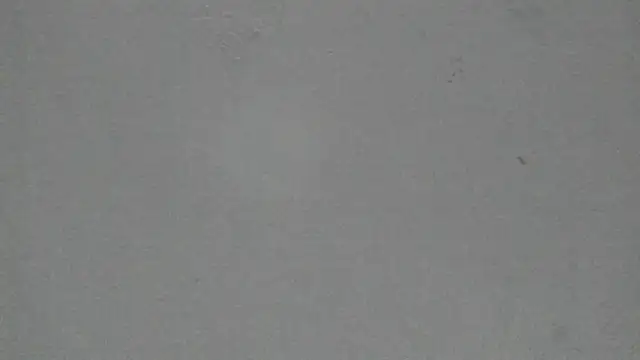 Sophia Ebony online show from February 19, 2026, 12:02 pm