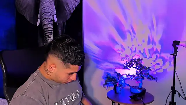 king falconer online show from November 10, 2025, 12:48 am