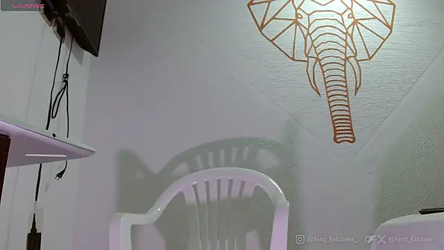 king falconer online show from February 21, 2026, 5:04 pm