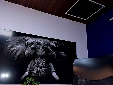 king falconer online show from January 15, 2026, 2:15 am