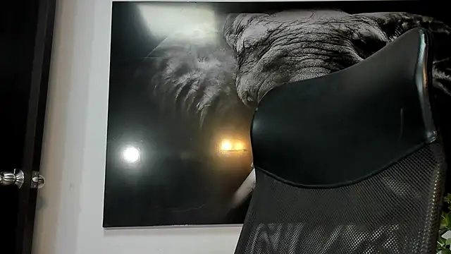 king falconer online show from December 5, 2025, 2:10 am