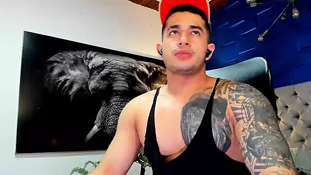 king falconer online show from November 28, 2025, 2:12 am