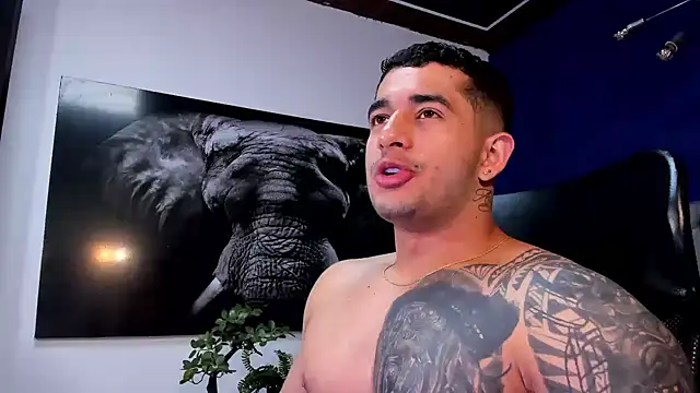 king falconer online show from January 11, 2026, 3:46 am