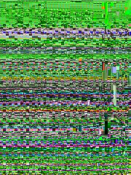 Snapshot of Casalmasc chatting on August 8, 2026, 1:34 am Casalmasc online show from August 8, 2026, 1:34 am