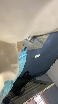 doll celestets online show from March 3, 2026, 6:26 pm