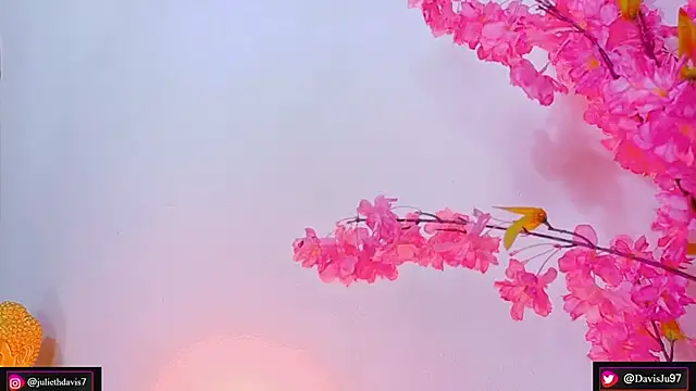 JulietaDavis online show from May 15, 2026, 2:09 am