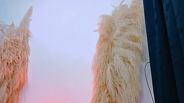 JulietaDavis online show from February 20, 2026, 9:33 am