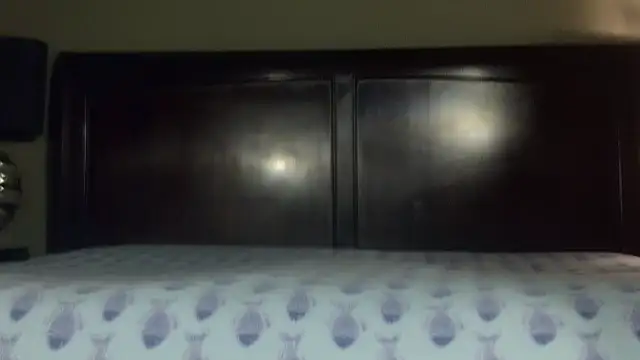 Snapshot of Hornylouisewil chatting on November 21, 2025, 12:42 am Hornylouisewil online show from November 21, 2025, 12:42 am