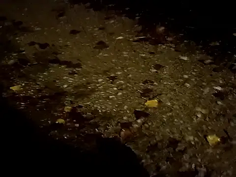 Snapshot of jvdzj-0_ chatting on October 29, 2025, 10:42 pm jvdzj-0 online show from October 29, 2025, 10:42 pm