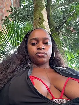 darle volant online show from April 19, 2026, 1:34 pm