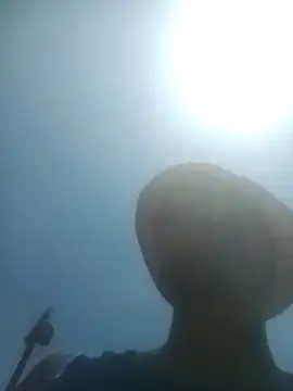 Snapshot of KingBonga chatting on February 10, 2026, 10:47 am KingBonga online show from February 10, 2026, 10:47 am