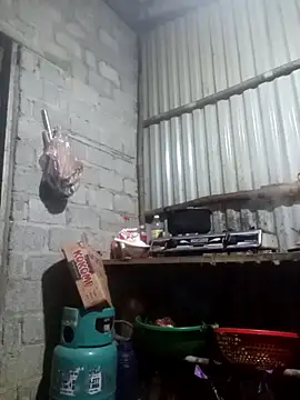 jienrrr online show from November 11, 2025, 12:00 pm