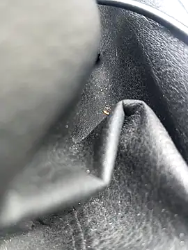 legaros online show from April 3, 2026, 2:23 pm