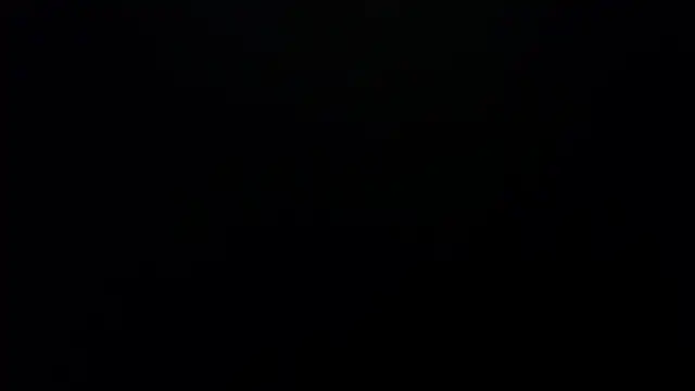 bossking017 online show from February 19, 2026, 4:04 pm