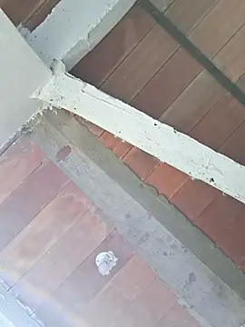 Cataleya ja online show from February 24, 2026, 12:39 pm