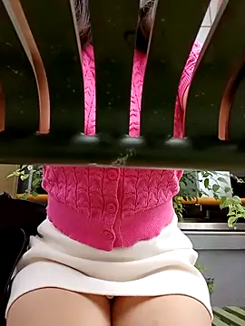 Ori-Lynk online show from February 28, 2026, 3:39 am