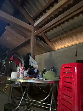 Snapshot of ThiHa003 chatting on January 18, 2026, 5:11 am ThiHa003 online show from January 18, 2026, 5:11 am