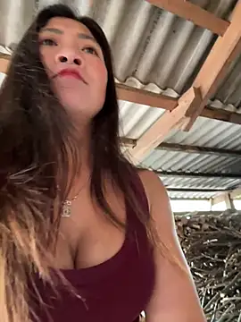 Snapshot of ThiHa003 chatting on February 7, 2026, 3:47 am ThiHa003 online show from February 7, 2026, 3:47 am