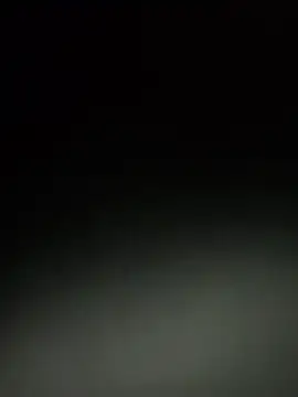 Cnutt310 online show from April 21, 2026, 4:02 pm