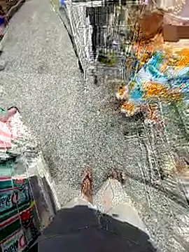 jeff pepoer online show from February 14, 2026, 11:54 am