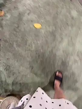 Meii-meyy online show from April 1, 2026, 3:09 pm