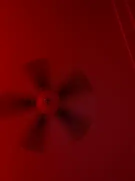 Taydagr8 online show from September 19, 2025, 7:56 am