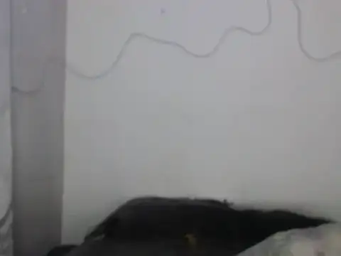 Snapshot of xalejo_max chatting on February 16, 2026, 7:34 pm xalejo max online show from February 16, 2026, 7:34 pm