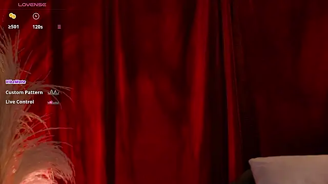 Snapshot of VicenteFerrer chatting on February 14, 2026, 1:17 am VicenteFerrer online show from February 14, 2026, 1:17 am