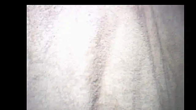 pietje1991 online show from December 14, 2025, 10:26 pm