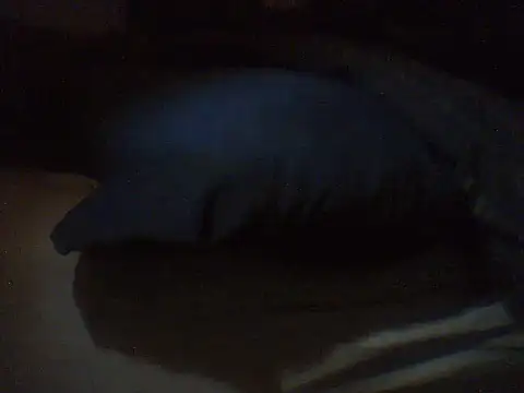 Snapshot of pietje1991 chatting on March 18, 2026, 4:19 pm pietje1991 online show from March 18, 2026, 4:19 pm