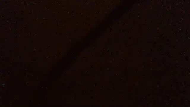 Snapshot of pietje1991 chatting on April 15, 2026, 12:05 am pietje1991 online show from April 15, 2026, 12:05 am