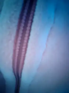 airamoon online show from October 20, 2025, 12:06 pm